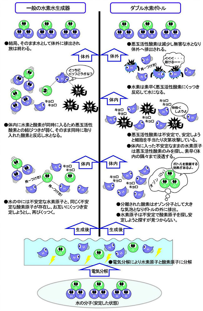 W水素ボトルについて_02